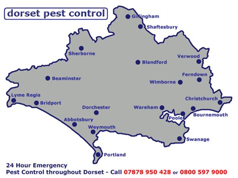 Dorset Pest Control.